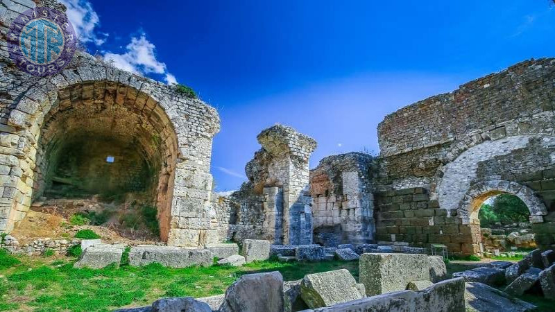 Ancient cities of Miletus and Priene from Didim4