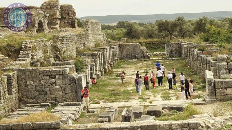 Ancient cities of Miletus and Priene from Didim7