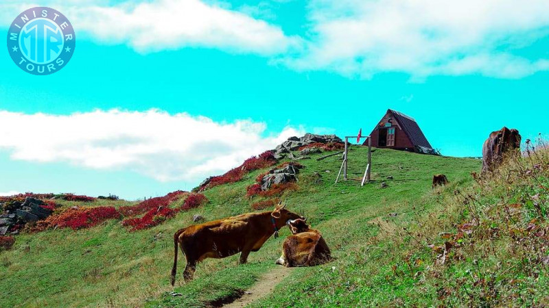 Trabzon Firtina valley and Ayder highland tour6