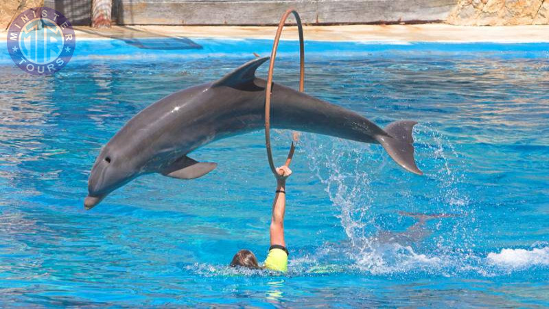 Dolphinarium in Istanbul7