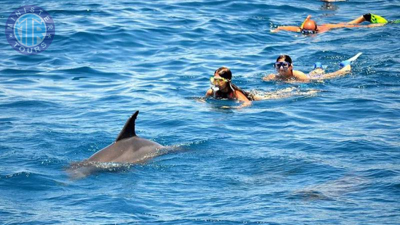 Swimming with dolphins in Istanbul6