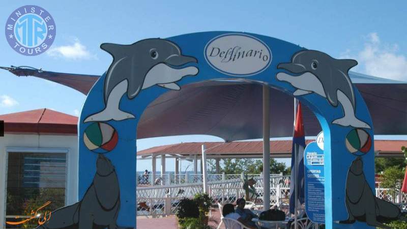 Dolphin park in Bodrum6