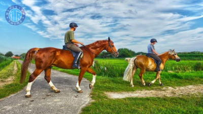 Horse riding in Istanbul Minister Tours