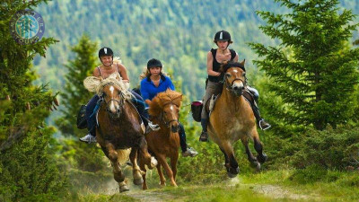 Horse riding in Istanbul Minister Tours