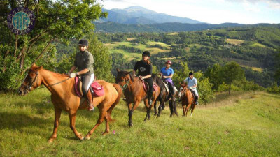 Horse riding in Istanbul Minister Tours