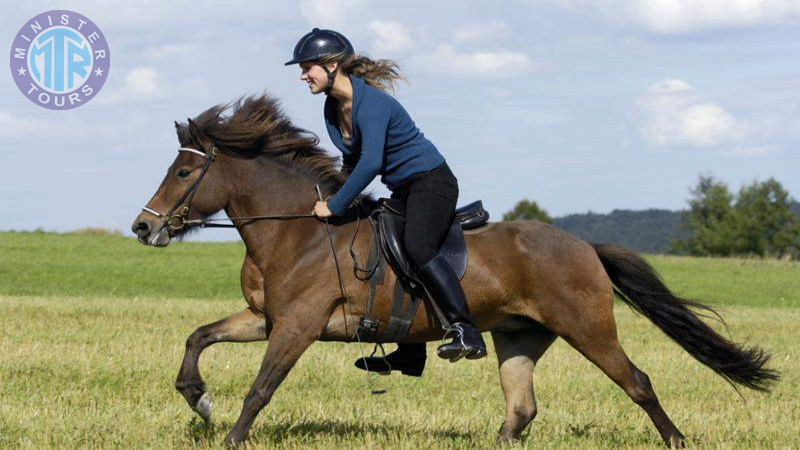 Horse riding in Istanbul0