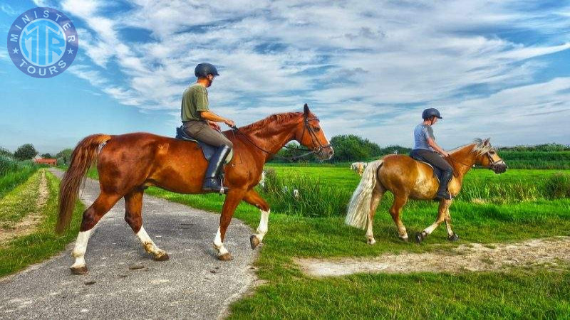 Horse riding in Istanbul2