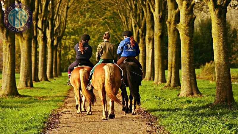 Horse riding in Istanbul3