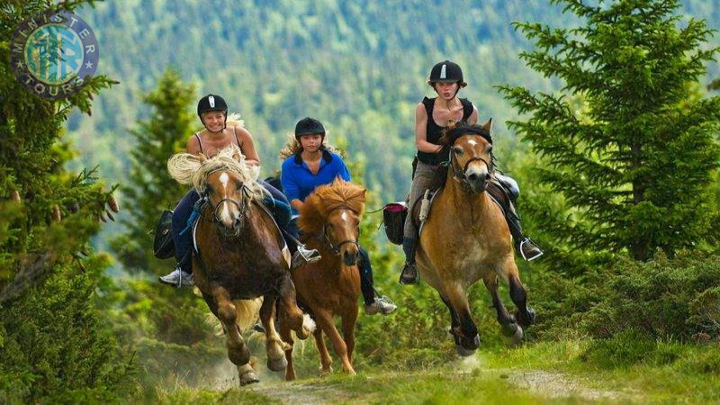 Horse riding in Istanbul4