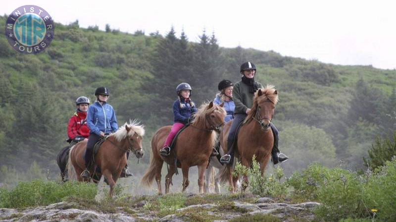 Horse riding in Istanbul9