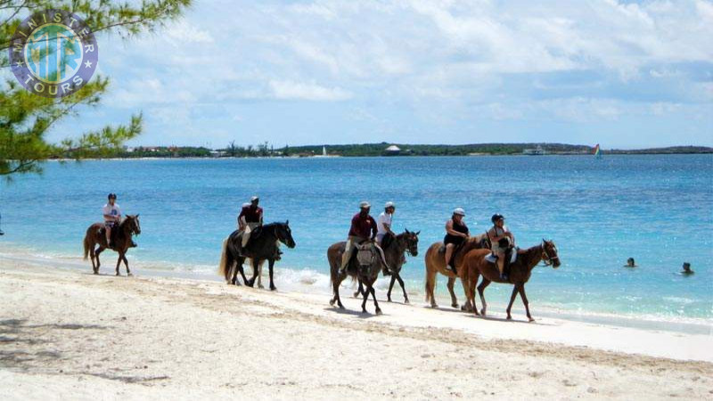 Horse riding in Kundu3