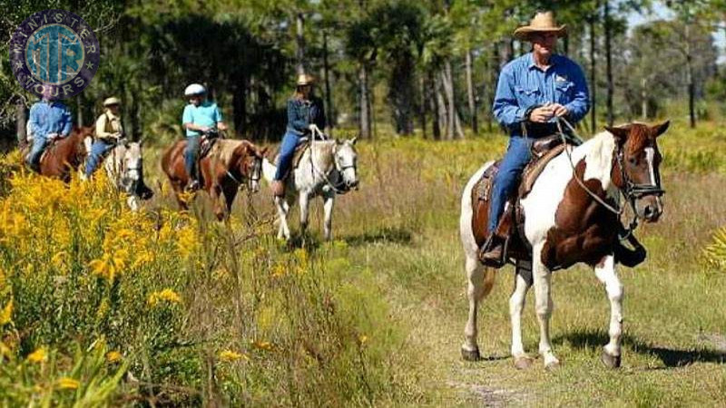 Horse riding in Antalya4