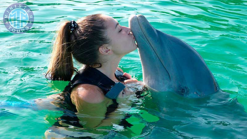 Swimming with dolphins in Kusadasi2