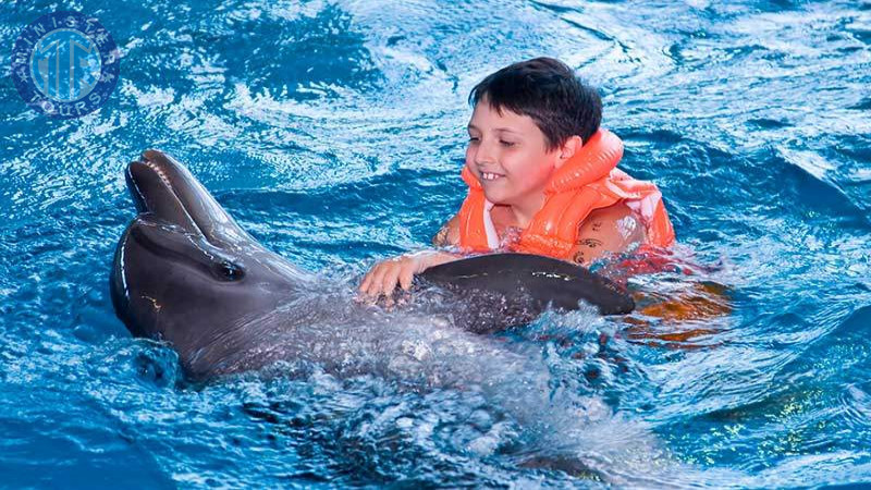 Swimming with dolphins in Kusadasi3