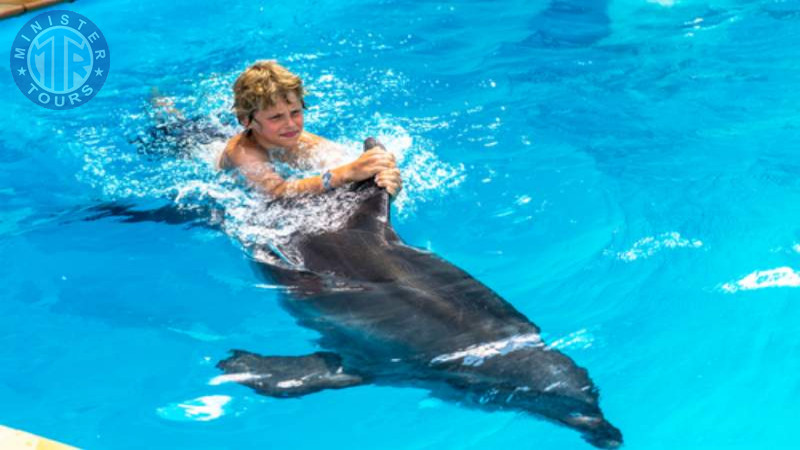 Swimming with dolphins in Kusadasi6