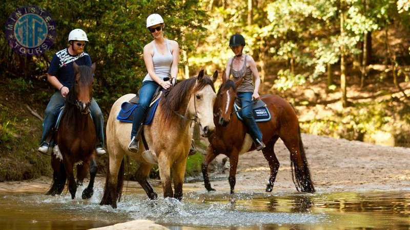 Équitation à Sorgun3