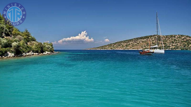 Orak Island from Bodrum1