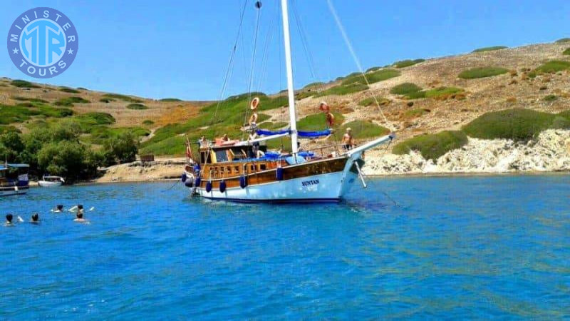 Orak Island from Bodrum2