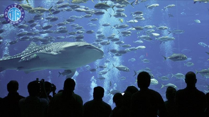 Aquarium from Kemer3