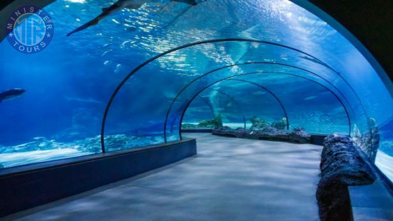 Aquarium from Alanya0