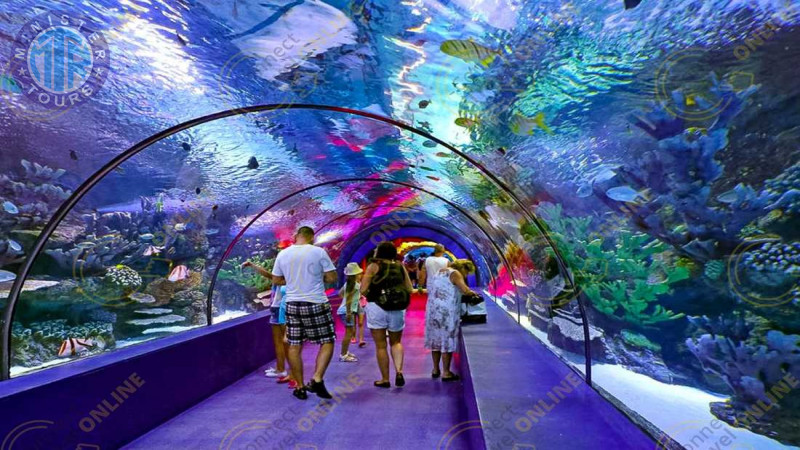 Aquarium from Alanya4