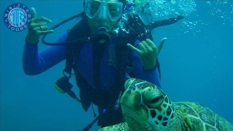 Diving in Trabzon4