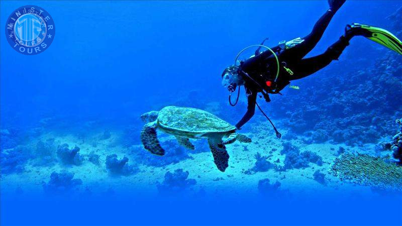 Diving in Trabzon8