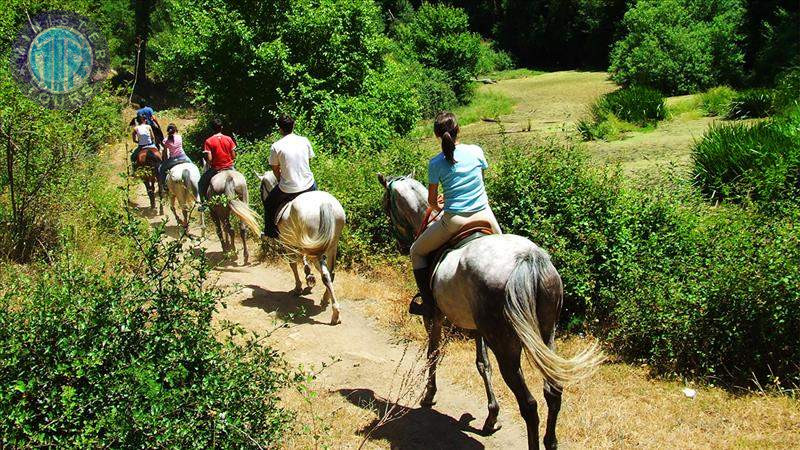 Horse riding Trabzon0