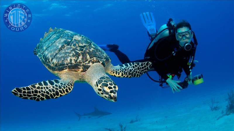 Diving in Istanbul3