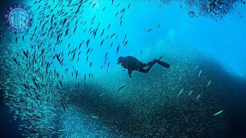 Diving in Istanbul6