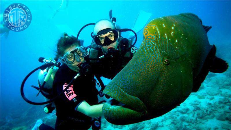 Diving in Istanbul7