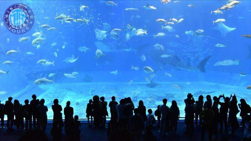 Aquarium in Trabzon2