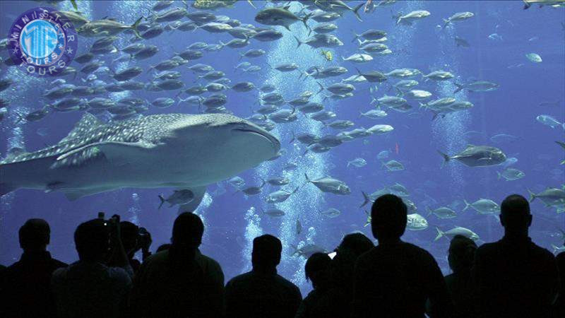 Aquarium in Trabzon3