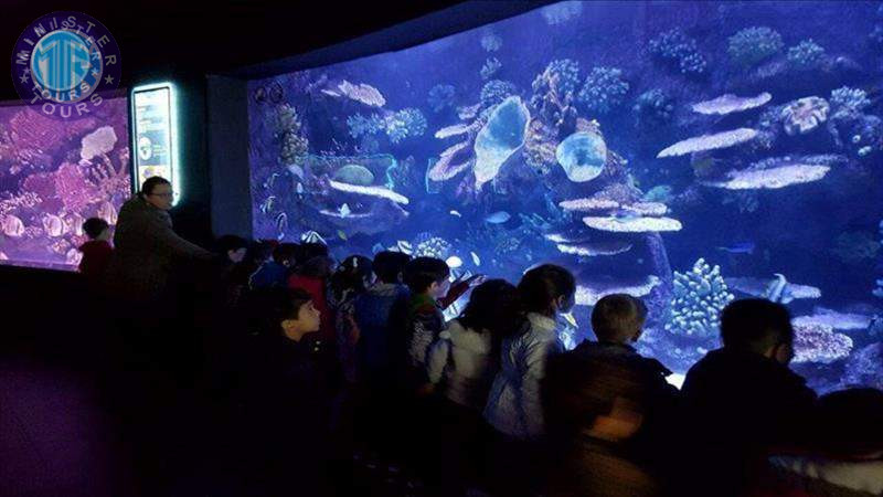 Aquarium in Trabzon4