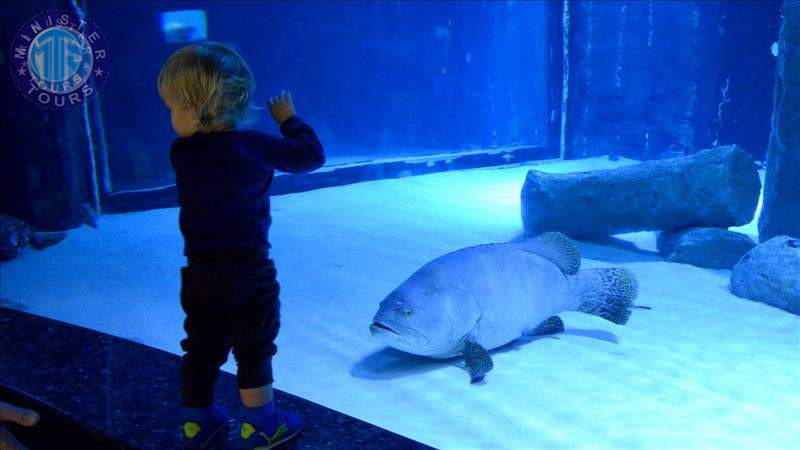 Aquarium in Trabzon8