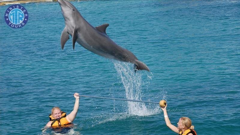 Antalya Dolphin show7