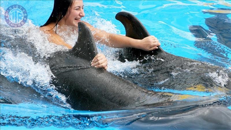 Swim with Dolphins in Antalya0