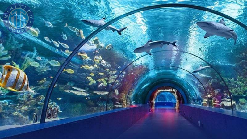 Izmir Aquarium tour0