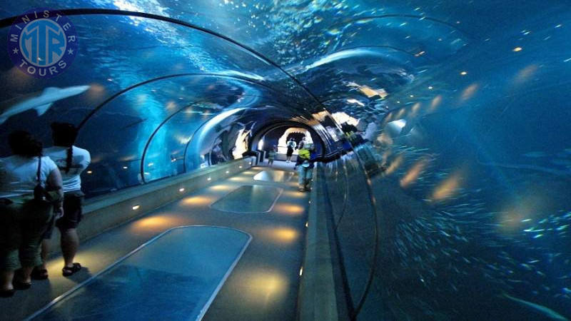 Izmir Aquarium tour4