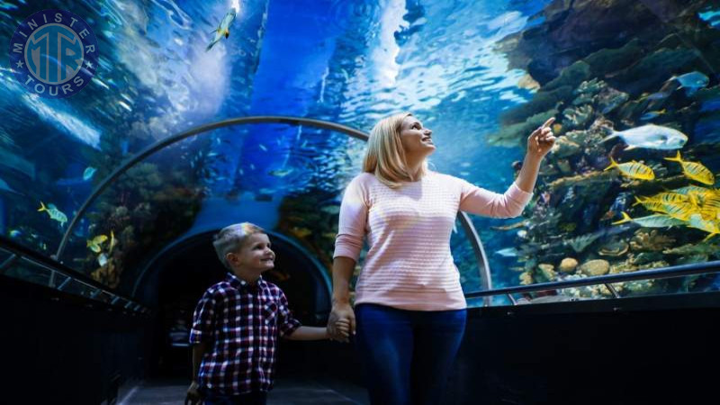 Izmir Aquarium tour5