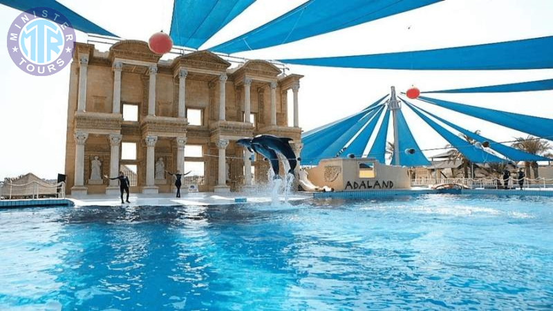 Dolphin show Izmir4