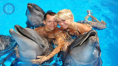 Swim with dolphins in Izmir