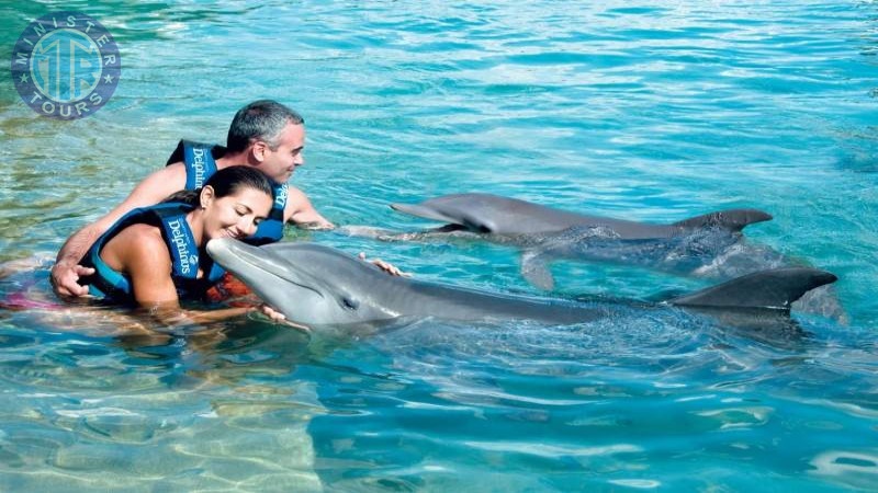 Swim with dolphins in Izmir1