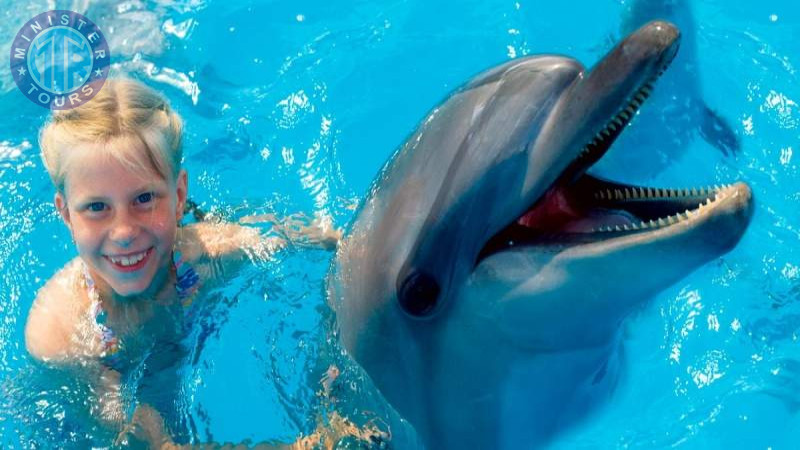 Swim with dolphins in Izmir2