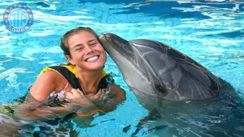 Swim with dolphins in Izmir3