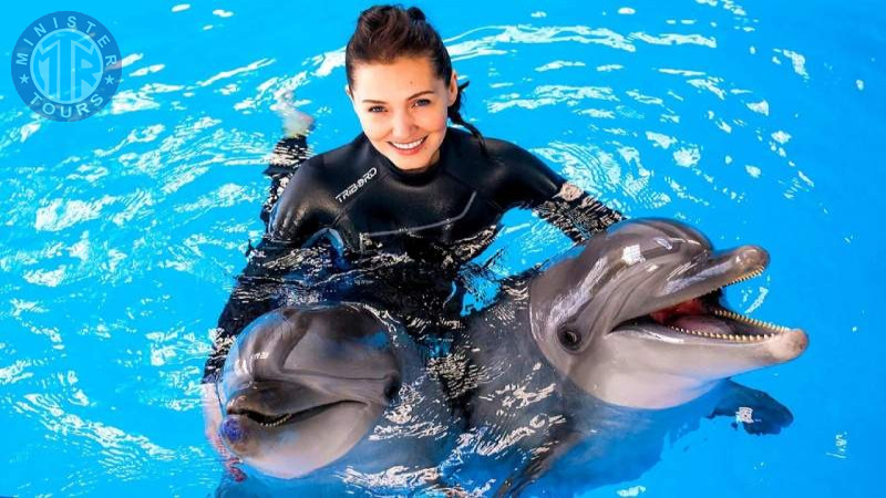 Swim with dolphins in Izmir4