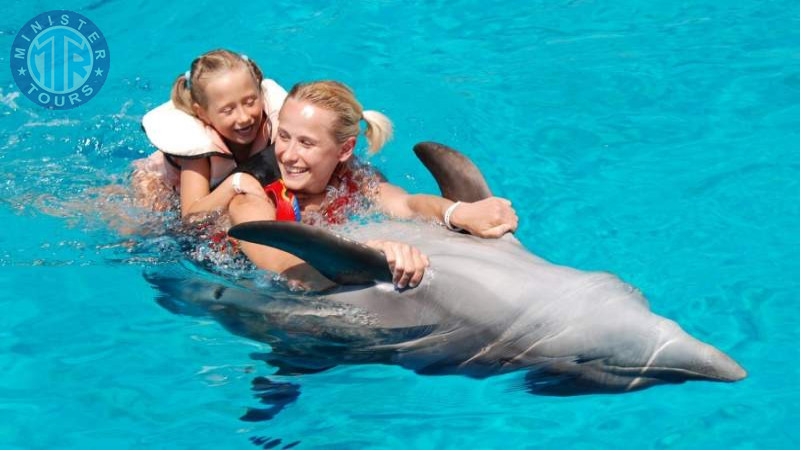 Swim with dolphins in Izmir5