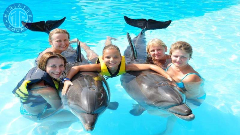 Swim with dolphins in Izmir8