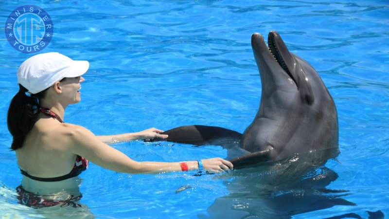 Swim with dolphins in Izmir10