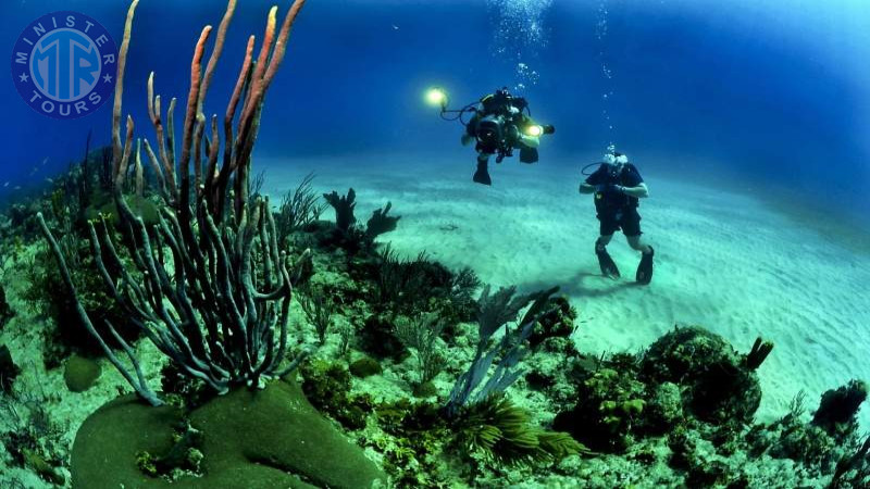 Izmir diving4